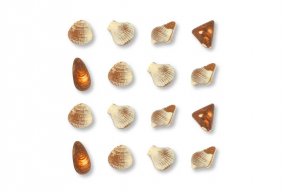 Frutos do Mar 200g1866