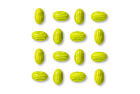 Pastilhas Elásticas1317